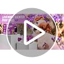 PET N PET Poop Bags for Dogs, 288 Count Lavender Scented Dog Waste Bags with Leash Dispenser, USDA Certified 3 - view 8