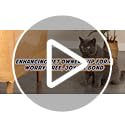 Panther Armor Furniture Protector, 8-Pack, Heavy Duty Anti-Scratch Cat Couch Protector, Transparent - view 8