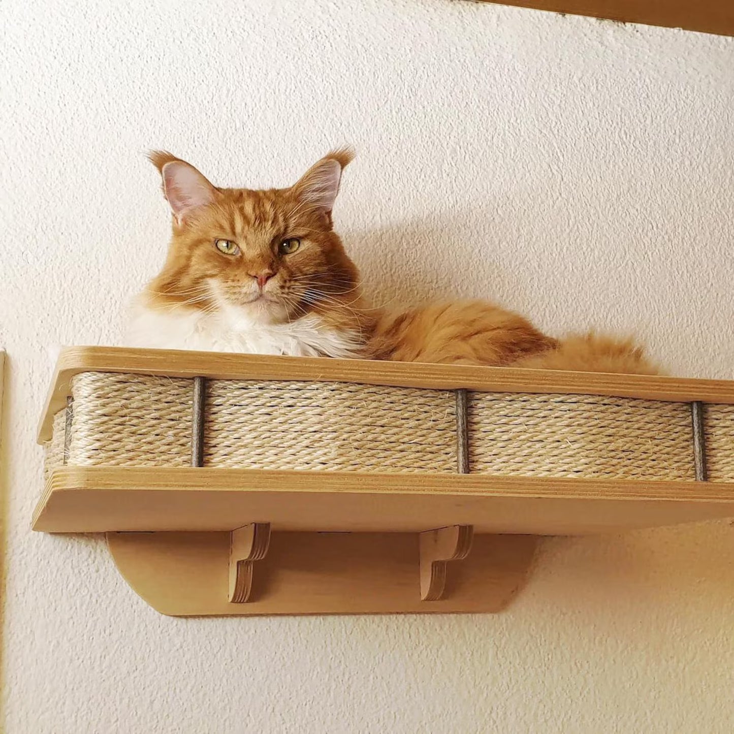 ThePawShelf™ – Wall-Mounted Cat Bed